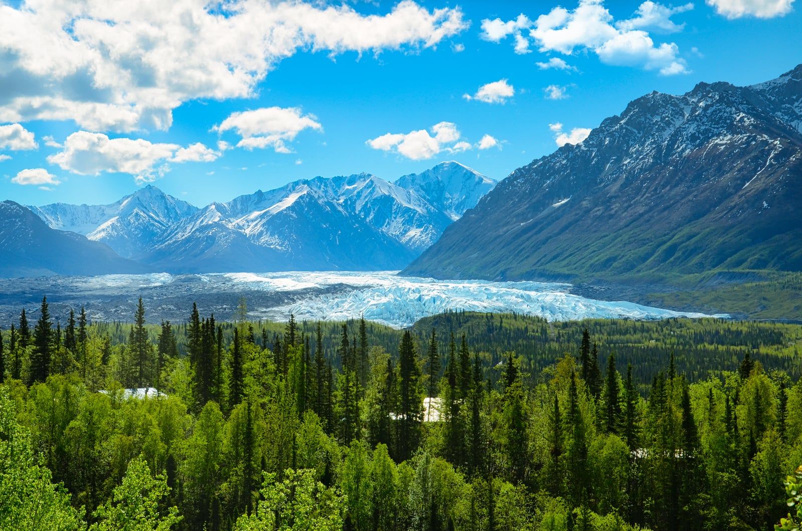 Matanuska Glacier stretches across a valley floor framed by spruce forest and rugged snow-dusted mountains under a partly cloudy sky.